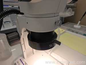 Microscopio Olympus SZX7