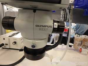 Microscopio Olympus SZX7
