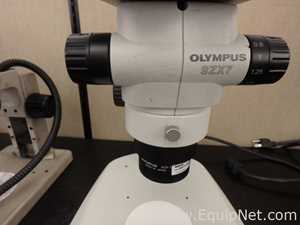 Olympus SZX7 Stereo Microscope