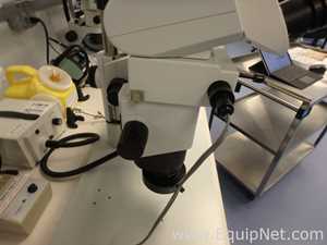 Olympus SZX12 Teaching Stereo Microscope With Light Source
