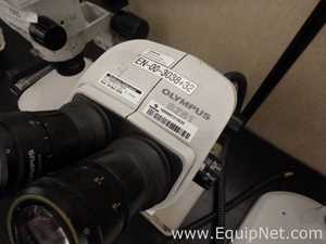 Microscopio Olympus SZ61
