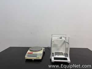 lote de   Balança de Laboratório Mettler Toledo 