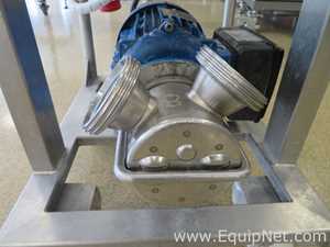 Liverani EP MINOR 50 Flexible Impeller Pump