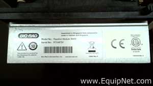lote de   PCR e Termociclador Bio-Rad 