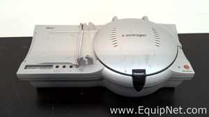 lote de   Sistema de Eletroforese Invitrogen 