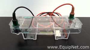 lote de   Sistema de Eletroforese Bio-Rad 