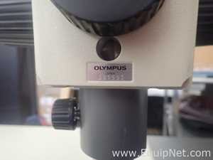 Olympus Teaching Microscope