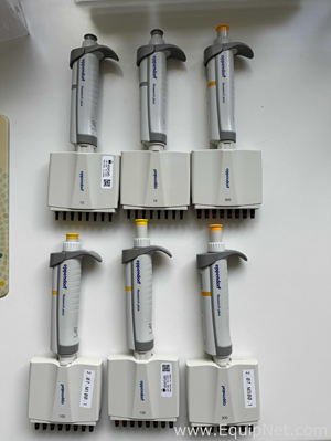 Lote de 6 Pipeteador Eppendorf Research Plus