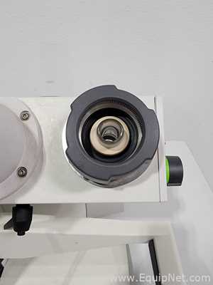 Evaporador Buchi R-100