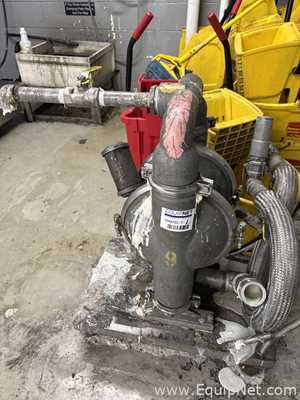 Wilden Diaphragm Pump