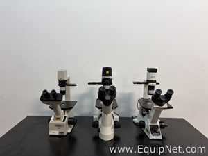 Lot of 3 Inverted Microscopes