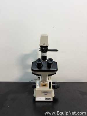 Lot of 3 Inverted Microscopes