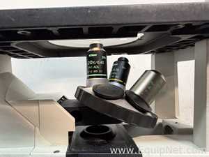 Lot of 3 Inverted Microscopes