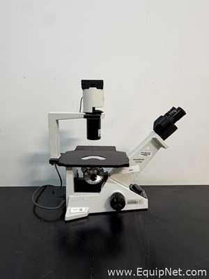 Lot of 3 Inverted Microscopes