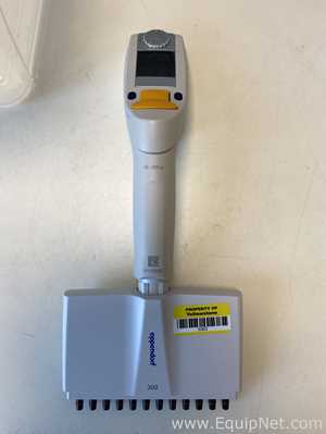 Lote de 6 Pipeteador Eppendorf 