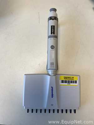 Lote de 6 Pipeteador Eppendorf 