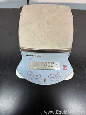 Lot of 3 Balances