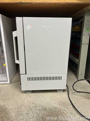 Baxter Scientific DP-32 Digital Vacuum Drying Oven