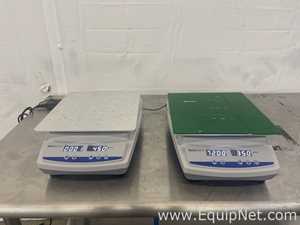 Lote de 2 Agitador Fisher Brand 88861021