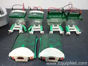 lote de   Sistema de Eletroforese Bio Rad Mini Protean Tetra System
