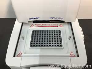 PCR e Termociclador Eppendorf 6325