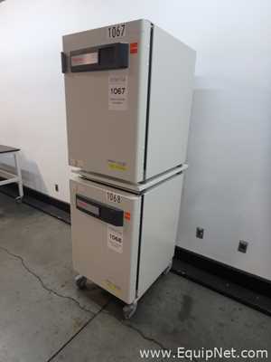 Incubadora Thermo Scientific Heracell Vios 160i