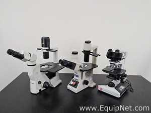 Lote de 3 Microscopio Various 