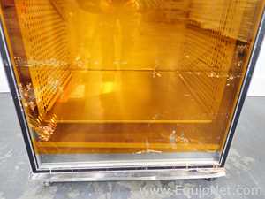 Thermo Scientific 3950 Reach in Co2 Incubator