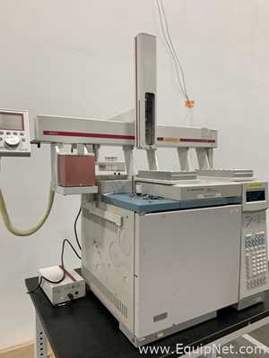 Agilent Technologies 6890N Gas Chromatograph with Gerstel MultiPurpose Autosampler
