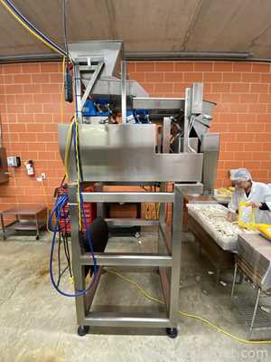 WeighPack Systems AEF-7 Dual Lane Weigh Filler