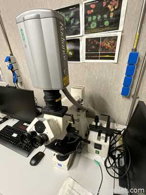 Carl Zeiss Microimaging AxioPlan Fluorescence Microscope BIORAD Radiance 2000 Laser Scanning System
