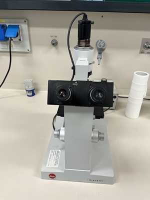 Microscópio Leitz Diavert