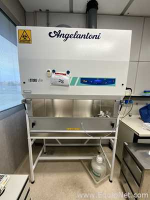 Angelantoni VBH 48 Class 2 Biological Safety Cabinet