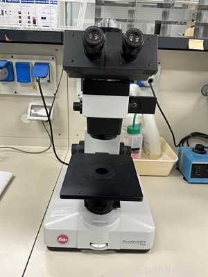 Microscópio Leitz Fluovert FU