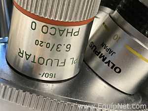 Microscópio Leitz Fluovert FU