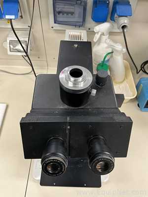 Microscópio Leitz Fluovert FU