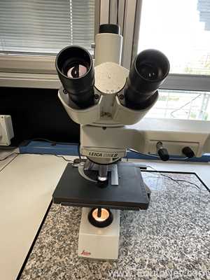 Leica DM LB Dual Binocular Microscope