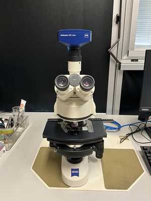 Carl Zeiss Microimaging GmbH Axioskop 2 Plus Microscope with Axiocam 305 Color USB Camera