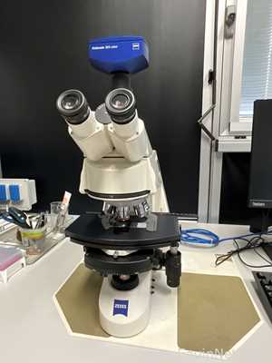 Carl Zeiss Microimaging GmbH Axioskop 2 Plus Microscope with Axiocam 305 Color USB Camera