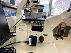 Carl Zeiss Microimaging GmbH Axiovert 200 Inverted Microscope with Axiocam 705 Color USB Camera