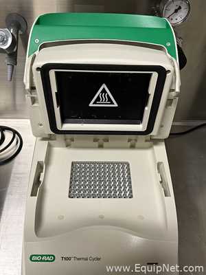 PCR e Termociclador Bio Rad T100