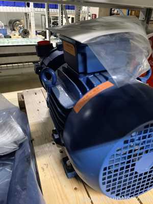 Bomba de Vacío Sterling GV120