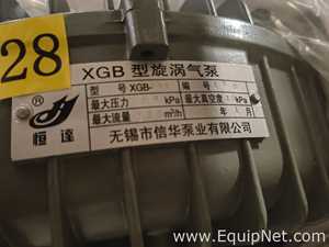 Wuxi Xinhua Pump Industry XGB-11 Rotary Lobe Pump - 386