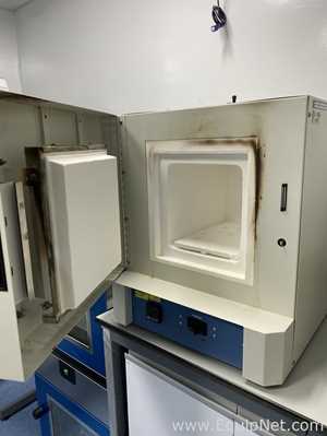 Horno De Vacio Thermo Scientific Lindberg Blue M CF51794C-1 