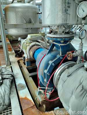 Salvatore Robuschi Recirculating Pump with Rotor NL Motor