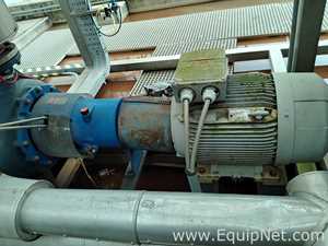 Salvatore Robuschi Recirculating Pump with Rotor NL Motor