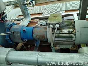 Salvatore Robuschi Recirculating Pump with Rotor NL Motor