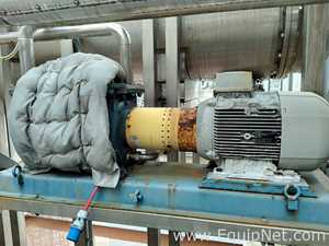 Pompetravaini S.P.A TRHB 50-340/C/RX Vacuum Pump with Siemens Motor