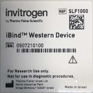 Electroforesis Invitrogen iBlot 2 Gel
