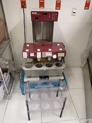 Sistema de Disolución Distek modelo 2100B con Sistema Control Temperatura Distek modelo TCS0200C